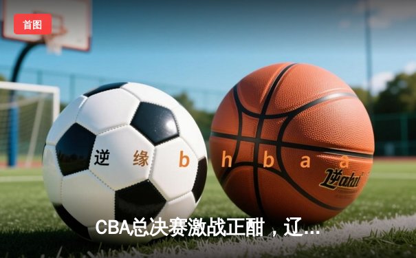 CBA总决赛激战正酣，辽宁本钢客场逆转广东宏远夺赛点