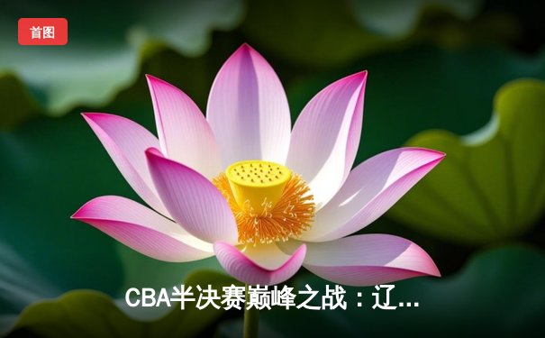 CBA半决赛巅峰之战：辽宁本钢加时险胜广东华南虎 赵继伟全能表现定乾坤