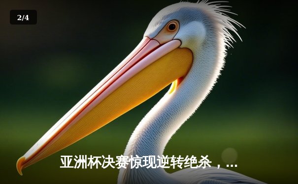 亚洲杯决赛惊现逆转绝杀，日本男篮加时力克黎巴嫩夺冠 - 2